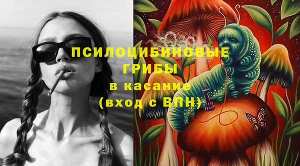 ешки Богородицк