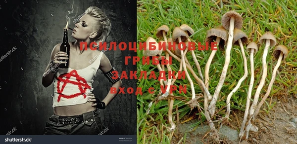 кокс Богданович