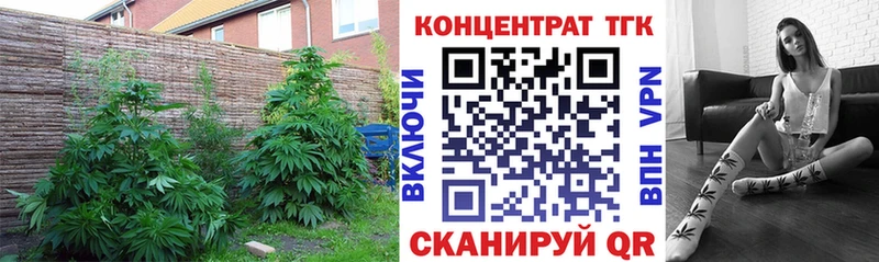 Дистиллят ТГК гашишное масло  Томари 