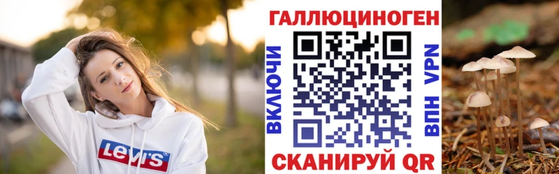 ОМГ ОМГ вход  Томари  Галлюциногенные грибы мицелий 